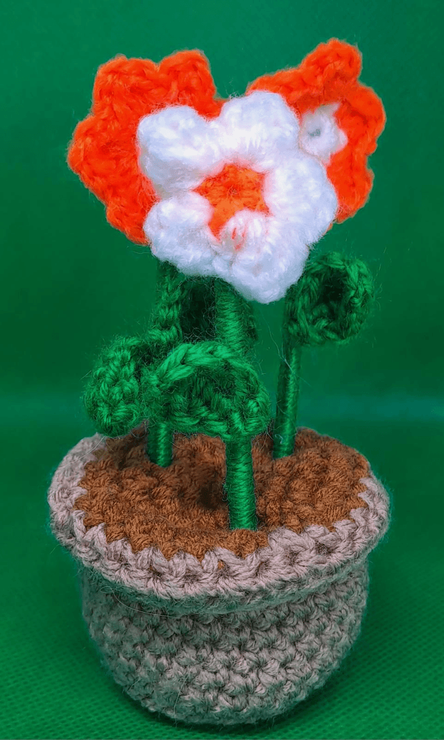 Potted flowers